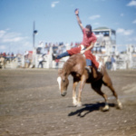 9 rodeo 17 Rodeo Competitive